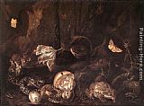 Otto Marseus Van Schrieck Still-Life with Insects and Amphibians painting